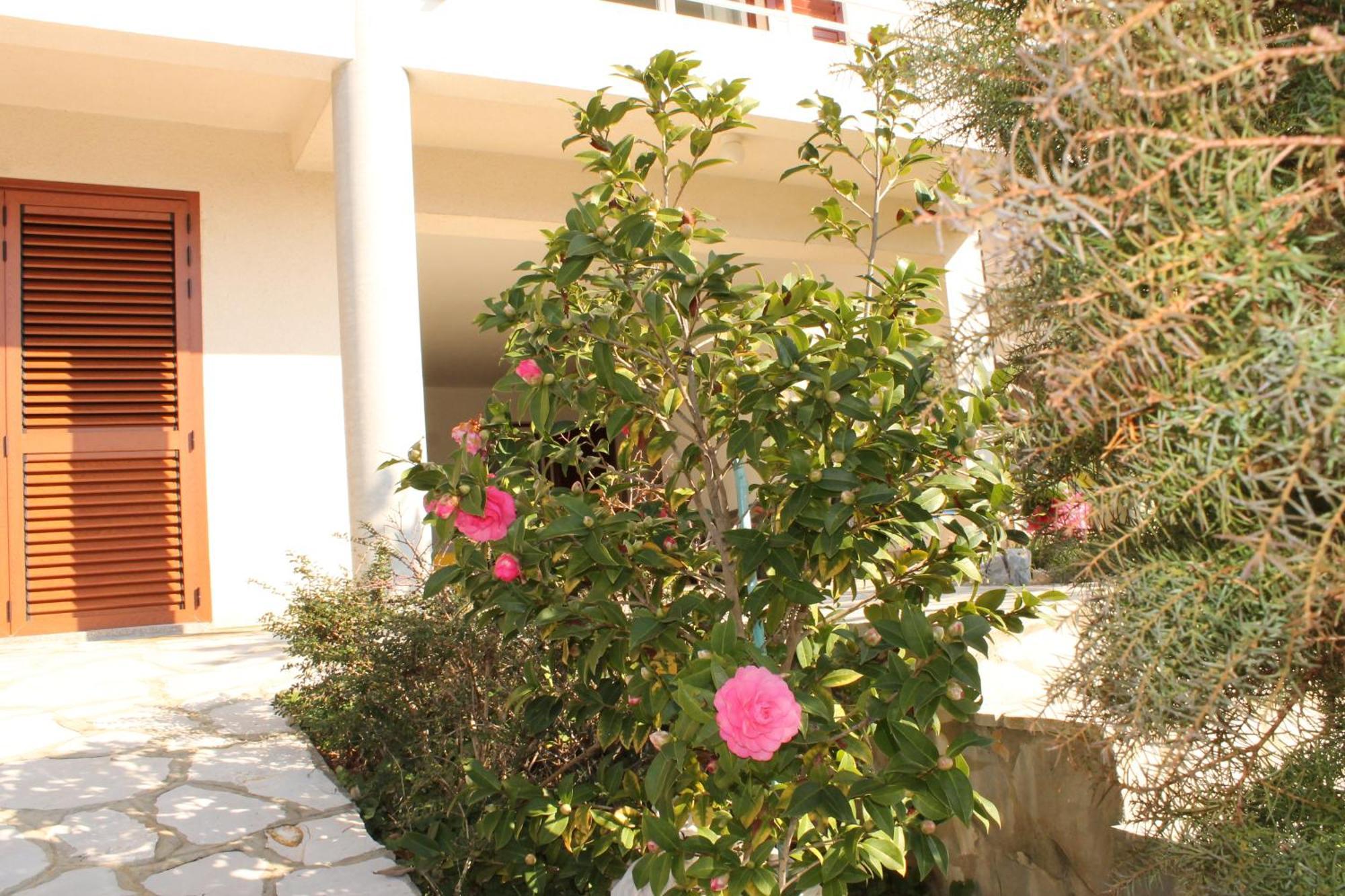 Apartments Vila Marica Rabac Exterior photo