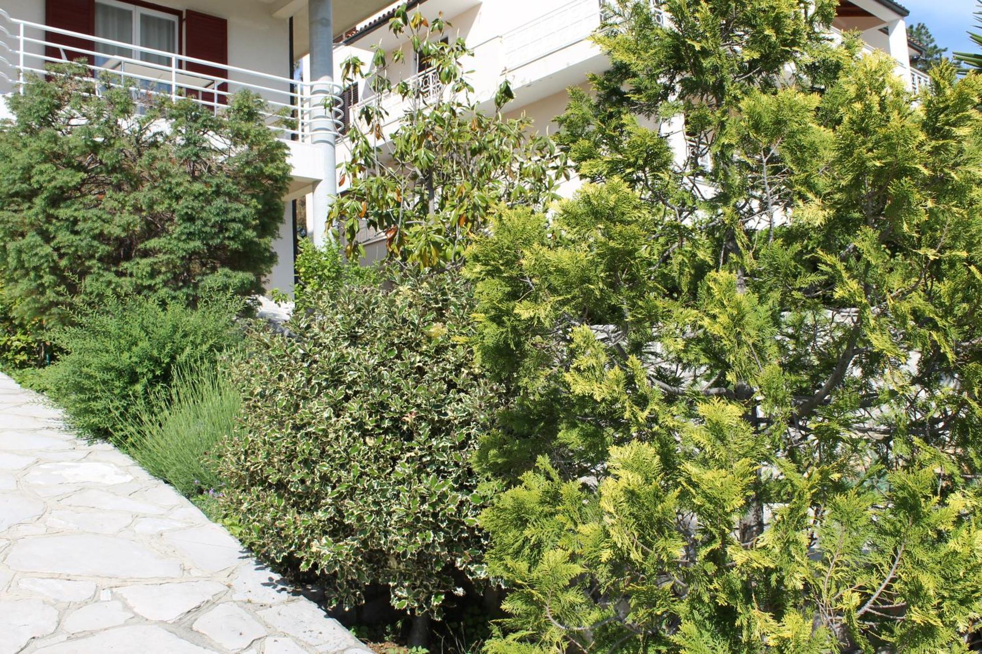 Apartments Vila Marica Rabac Exterior photo
