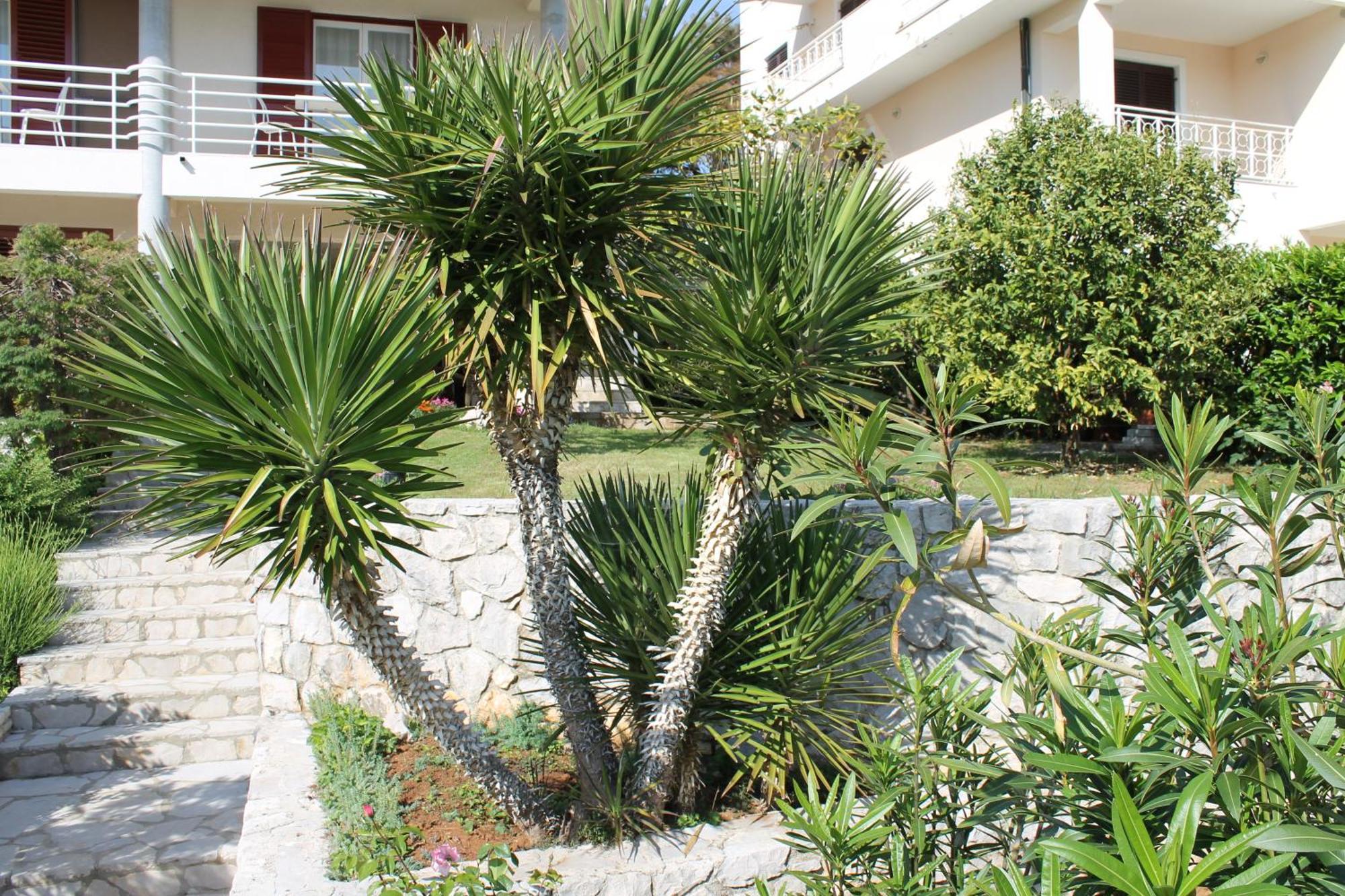 Apartments Vila Marica Rabac Exterior photo